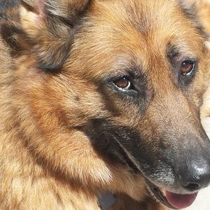 Meet your Posher, Michele